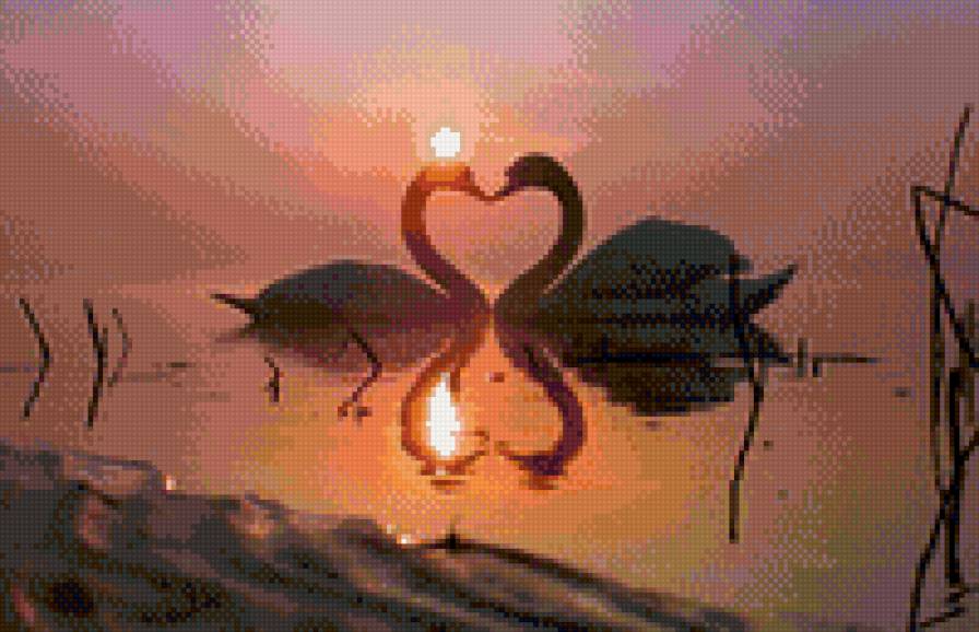 №810671 - птицы, лебеди, любовь - предпросмотр