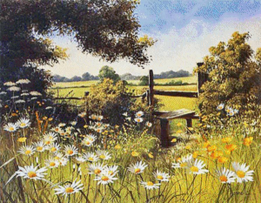 Літо в селі - літо, село, ромашки - предпросмотр