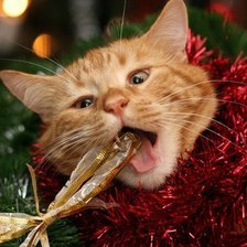 Схема вышивки «Люблю я эти праздники!!!»