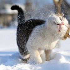 Схема вышивки «котейка»