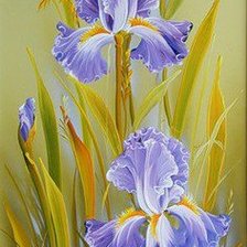 Схема вышивки «FLORES-IRIS 3»