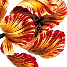 Схема вышивки «№810910»