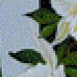 Предпросмотр схемы вышивки «FLORES-NARCISOS» (№810917)