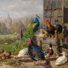 Схема вышивки «gallinaceas»