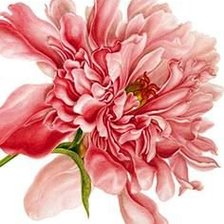 Схема вышивки «№810942»