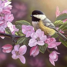 Схема вышивки «№810953»