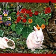 Схема вышивки «на прогулке»