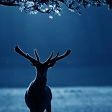 Схема вышивки «Олень»