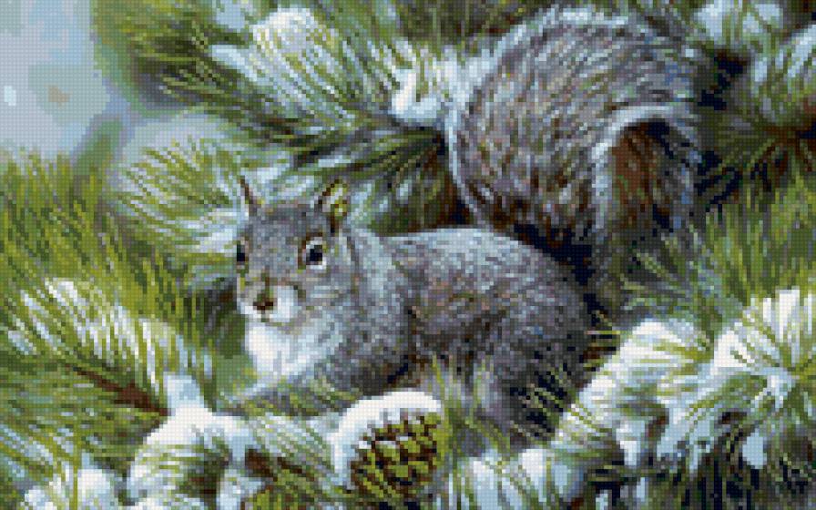 белка - предпросмотр