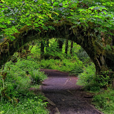 Схема вышивки «природа»