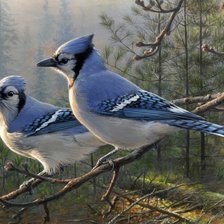 Схема вышивки «№811442»