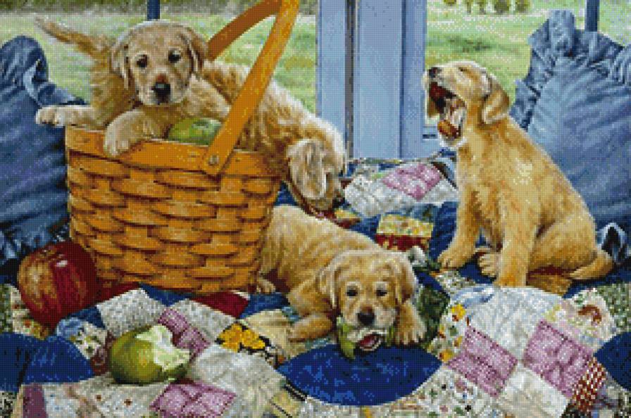 пикник - животные, собаки - предпросмотр