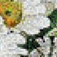 Предпросмотр схемы вышивки «ромашки» (№811481)
