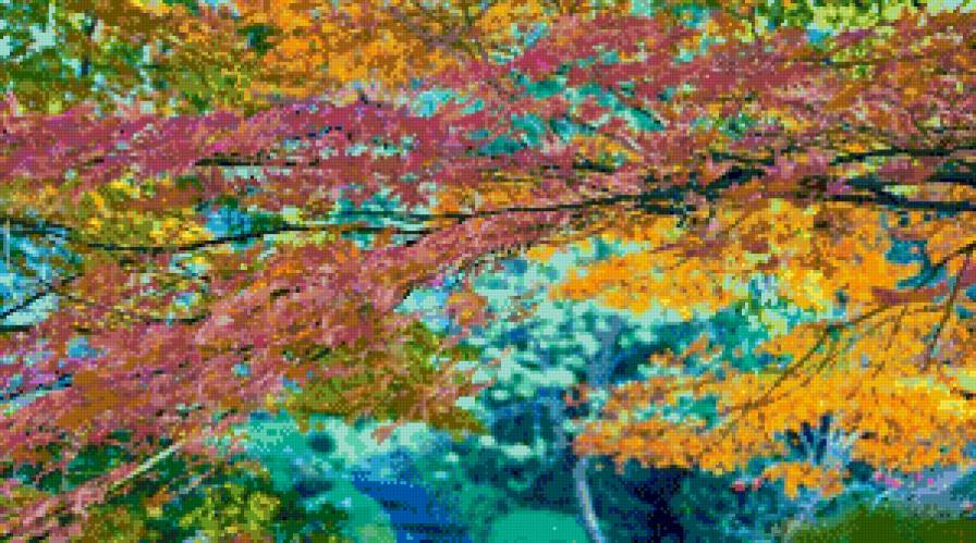 яркая осень - ярко, листья, осень - предпросмотр