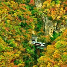 Схема вышивки «яркая осень 2»