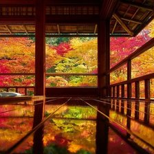 Схема вышивки «яркая осень 4»