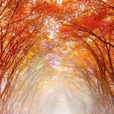 Схема вышивки «яркая осень 5»