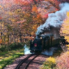 Схема вышивки «яркая осень 6»