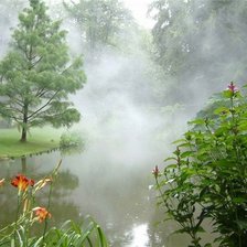 Схема вышивки «пейзаж»