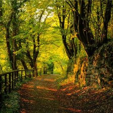 Схема вышивки «осенний пейзаж»