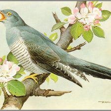 Схема вышивки «№812649»