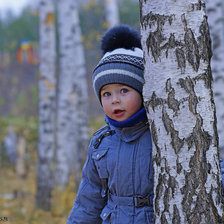 Схема вышивки «Тагир»