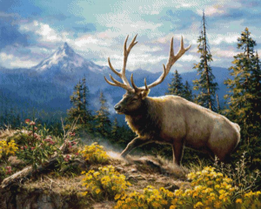 царь леса - олень, животные - предпросмотр