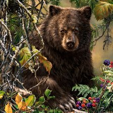 Схема вышивки «сладкоежка»