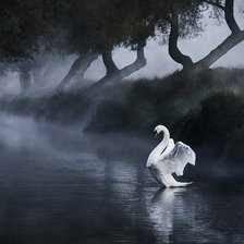 Схема вышивки «белый лебедь»