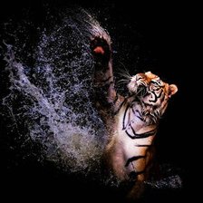 Схема вышивки «тигр»