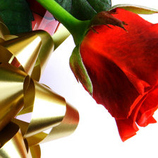 Схема вышивки «Роза»