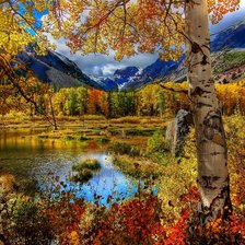 Схема вышивки «осень золотая»