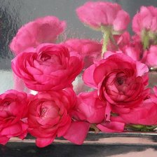 Схема вышивки «№813205»