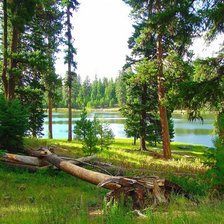 Схема вышивки «№813221»