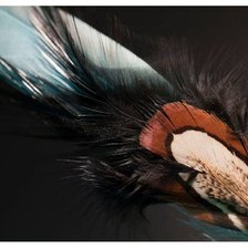 Схема вышивки «№813278»