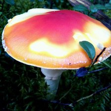 Схема вышивки «мухомор»