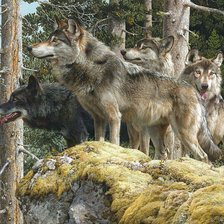 Схема вышивки «Волки»