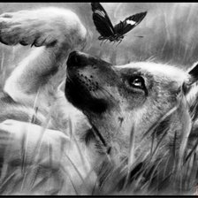 Схема вышивки «Волченок»