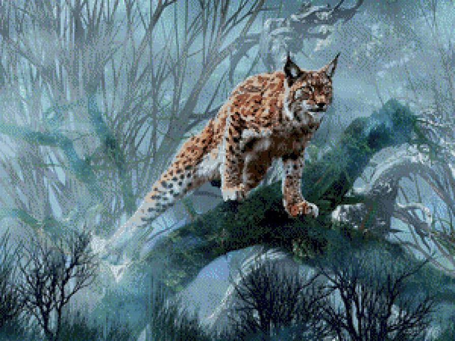 рысь - животные - предпросмотр