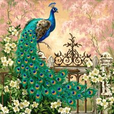 Схема вышивки «павлин»