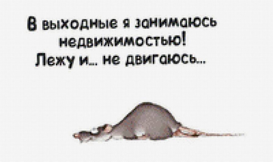 Недвижимость - надписи - предпросмотр