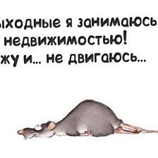 Недвижимость