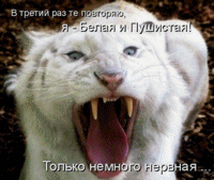 Немного нервная - животные, надписи - предпросмотр