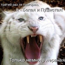 Схема вышивки «Немного нервная»