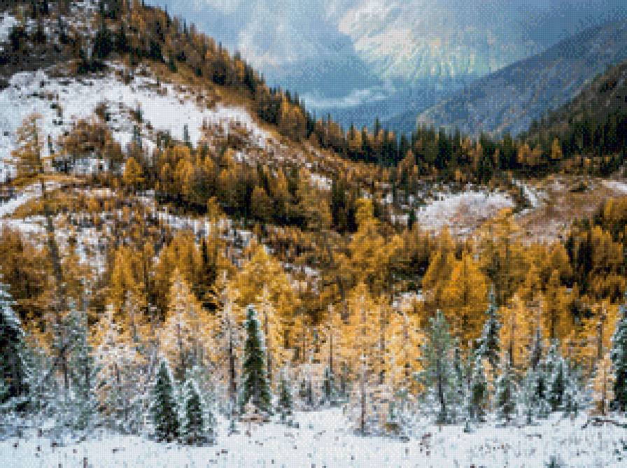 Первый снег - снег, зима, лес - предпросмотр