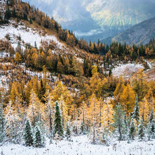 Схема вышивки «Первый снег»