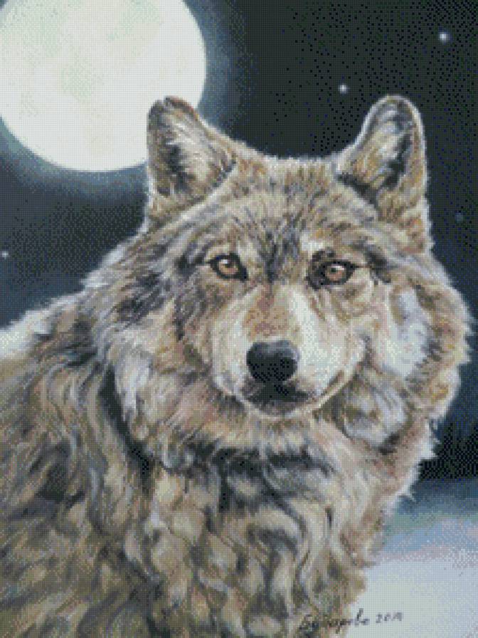 волк - предпросмотр