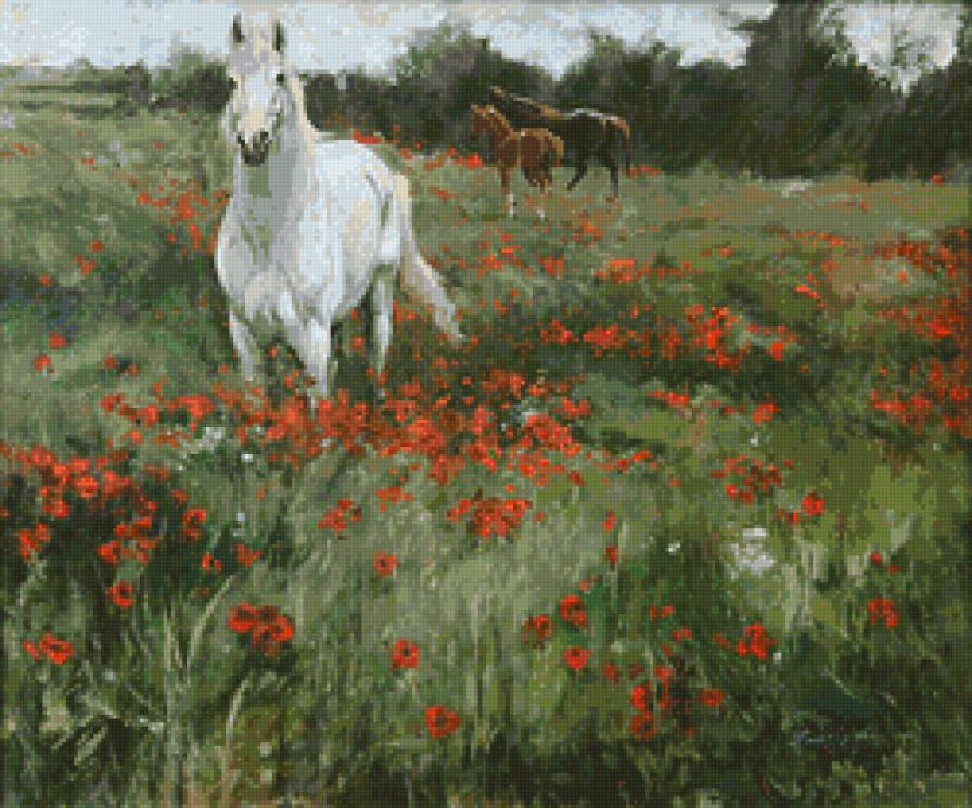 Лошади в маковом поле. - лошади, маки - предпросмотр