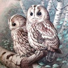 Схема вышивки «№814282»