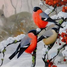 Схема вышивки «Снегири»